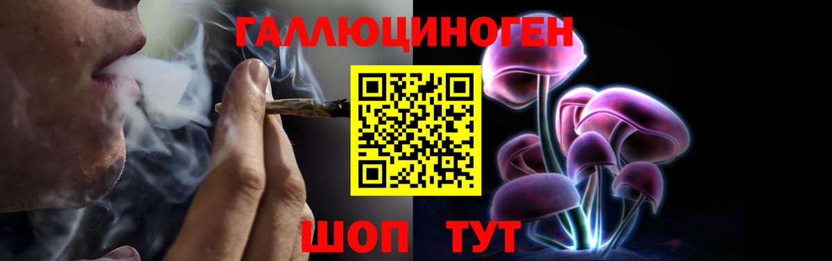 Галлюциногенные грибы Cubensis  даркнет сайт  Избербаш  Вход с VPN  Псилоцибиновые грибы прущие грибы 